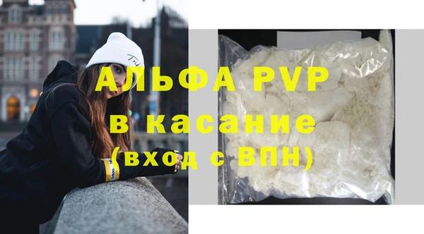 индика Аркадак