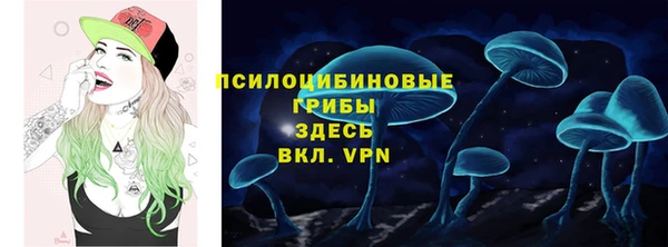 mdpv Арсеньев