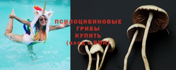 индика Аркадак