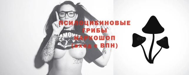 mdpv Арсеньев