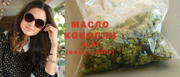 индика Аркадак