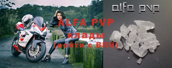 индика Аркадак